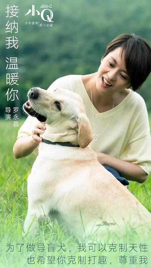 查询国外大学学历认证